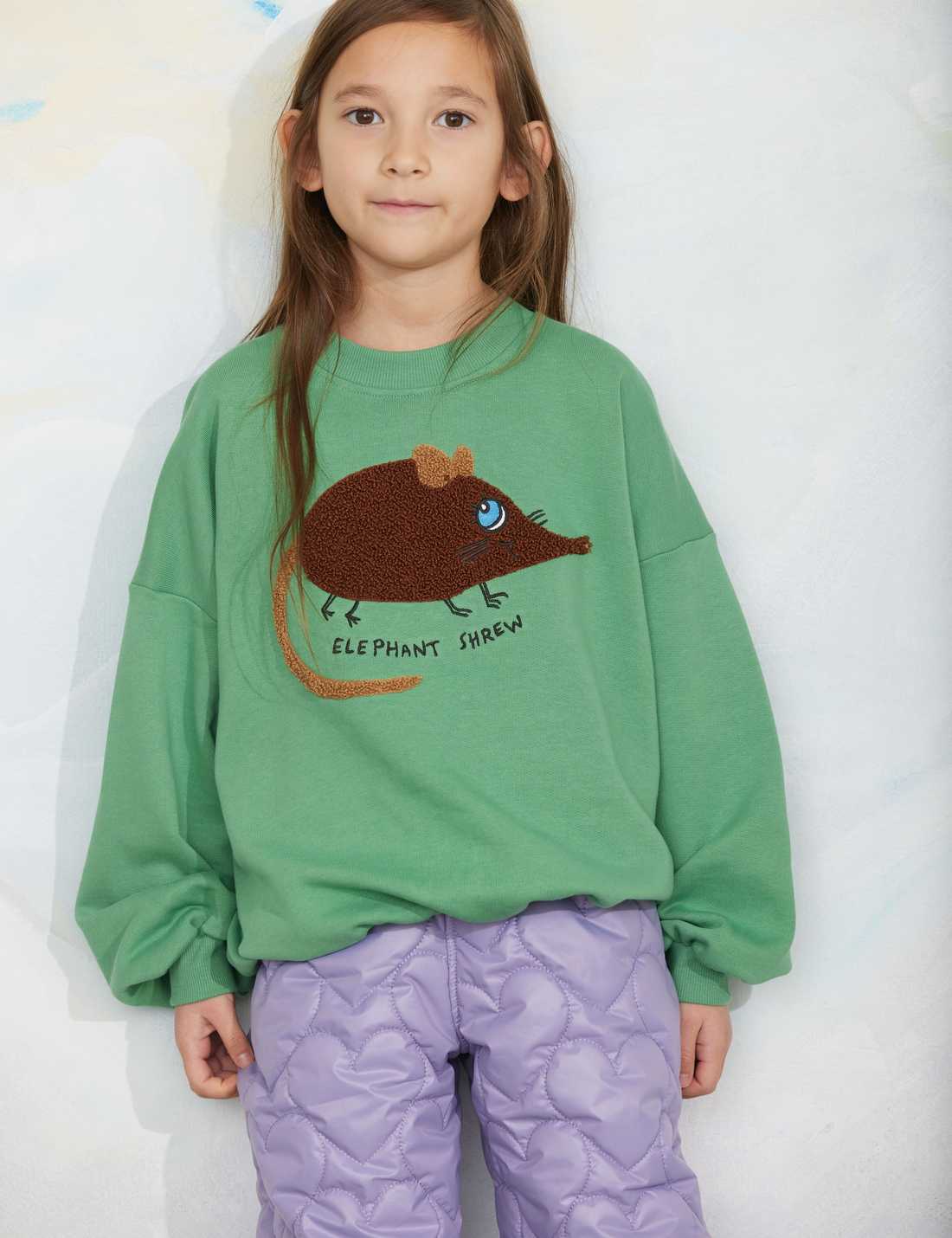 Elephant Shrew Baby sweatshirt by Mini Rodini in green