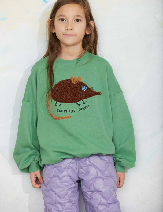 Grünes Mini Rodini Baby Sweatshirt mit Elephant Shrew Chenille Stickerei kind