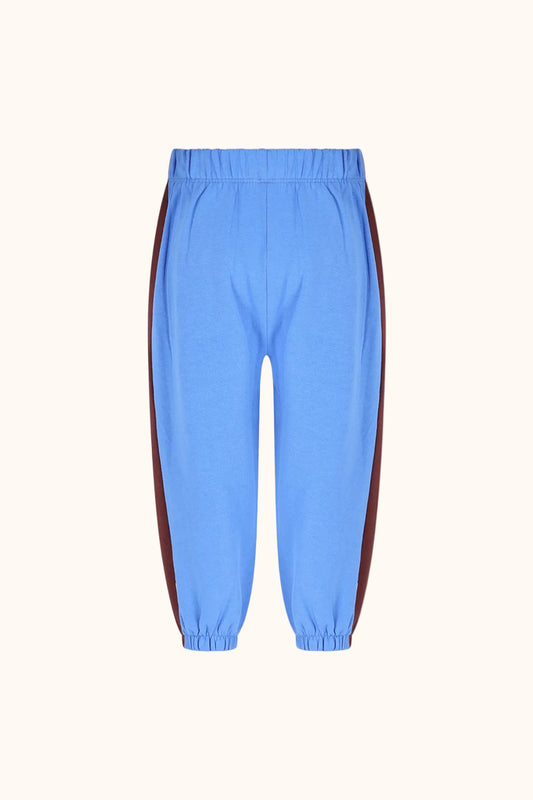 Blaue Wolf Jogginghose für Kinder von The New Chapter